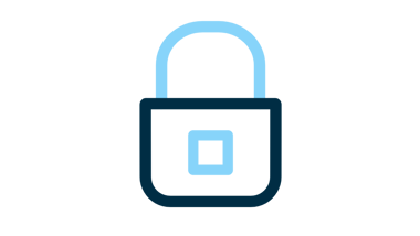 IT Security Icon